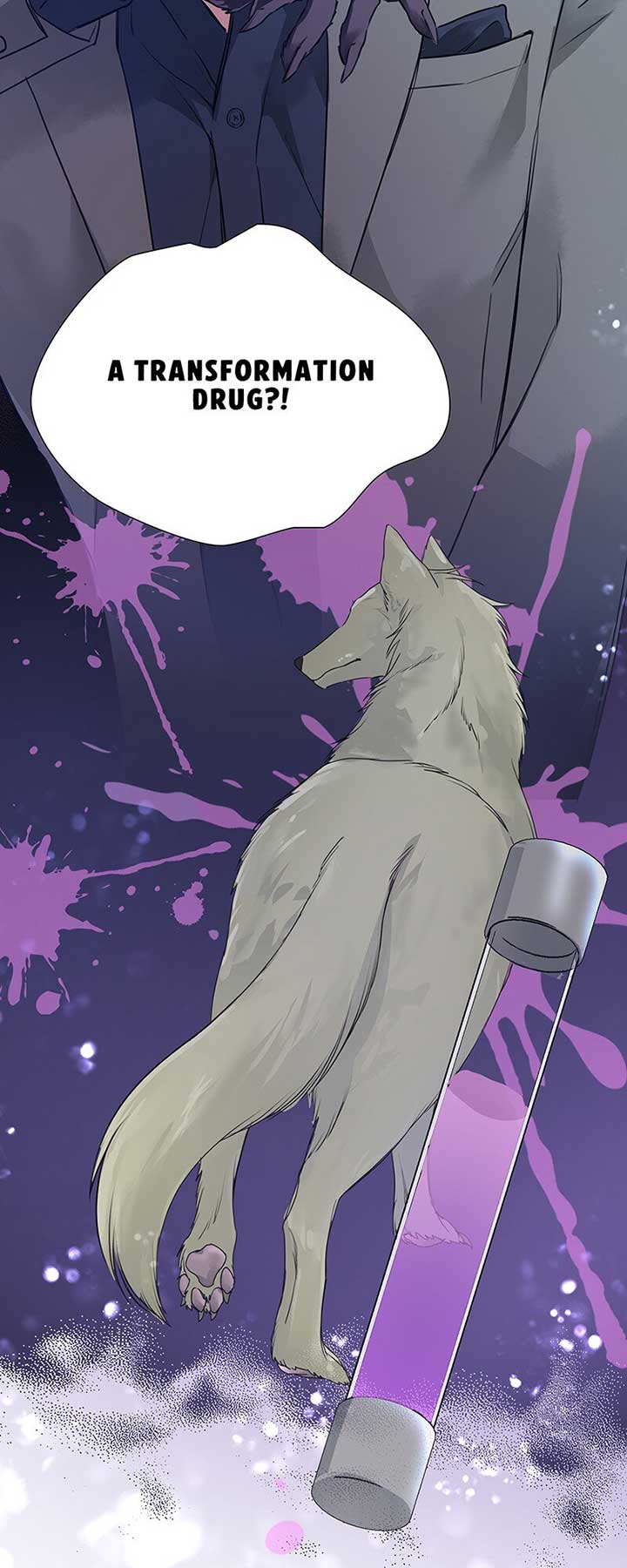 I’m NOT Afraid of Wolves! [Official] Chapter 15 - Page 19