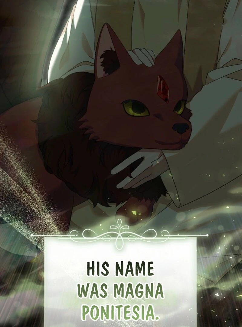 I’m Ready for Divorce! Chapter 31 - Page 25