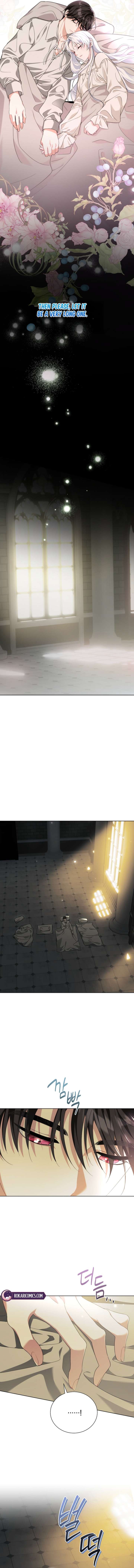 I’m the Knight Commander of the Second Male Lead Chapter 17 - Page 7