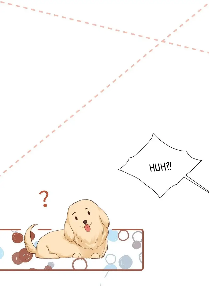 In the Name of Love Chapter 22 - Page 27