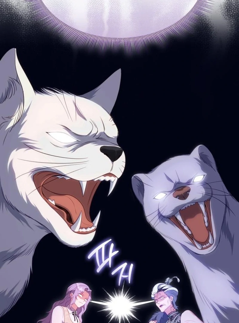 In the Name of Special Contract Marriage - Chapter 28 - 44