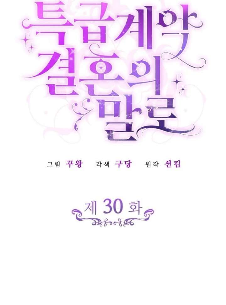 In the Name of Special Contract Marriage - Chapter 30 - 9