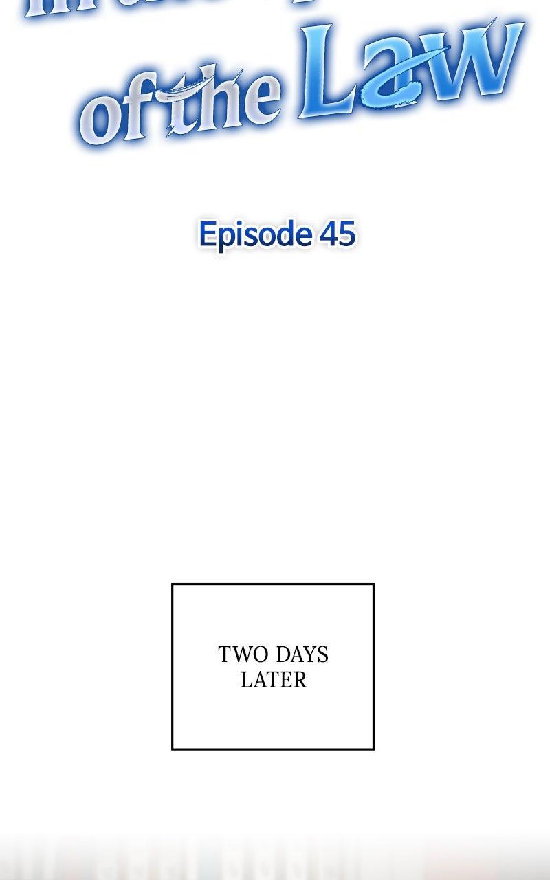 In the Spirit of the Law - Chapter 45 - 25