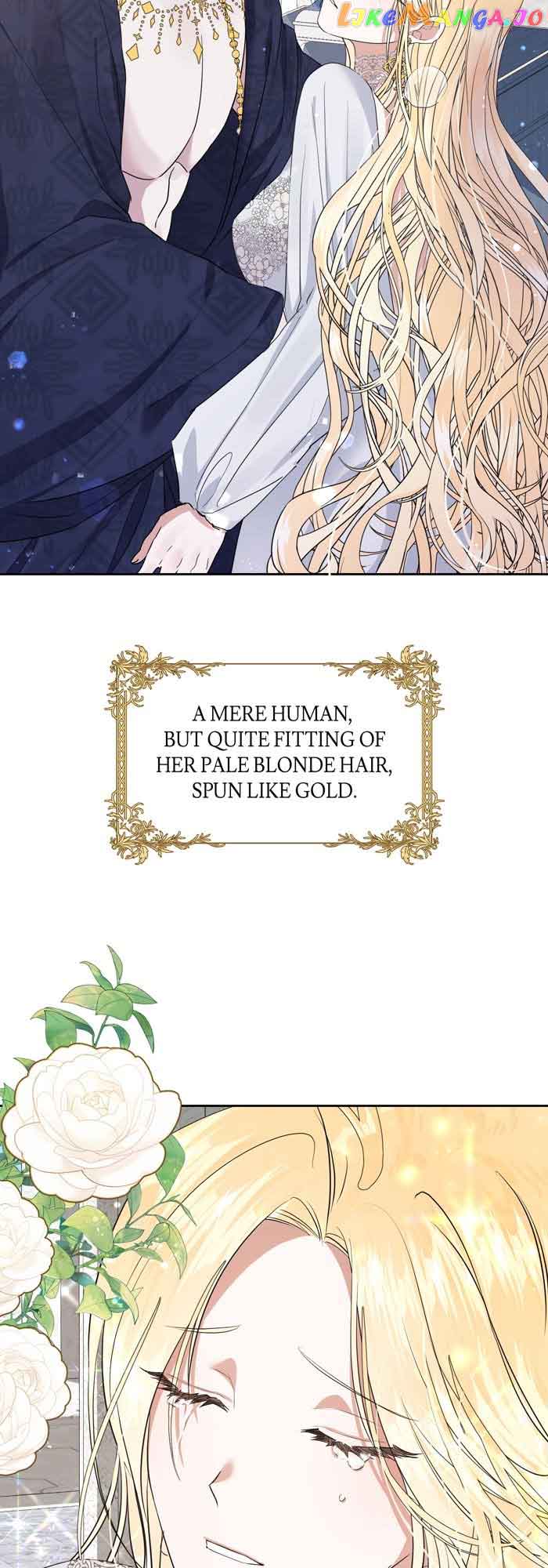 Insanely Radiant Chapter 3 - Page 4