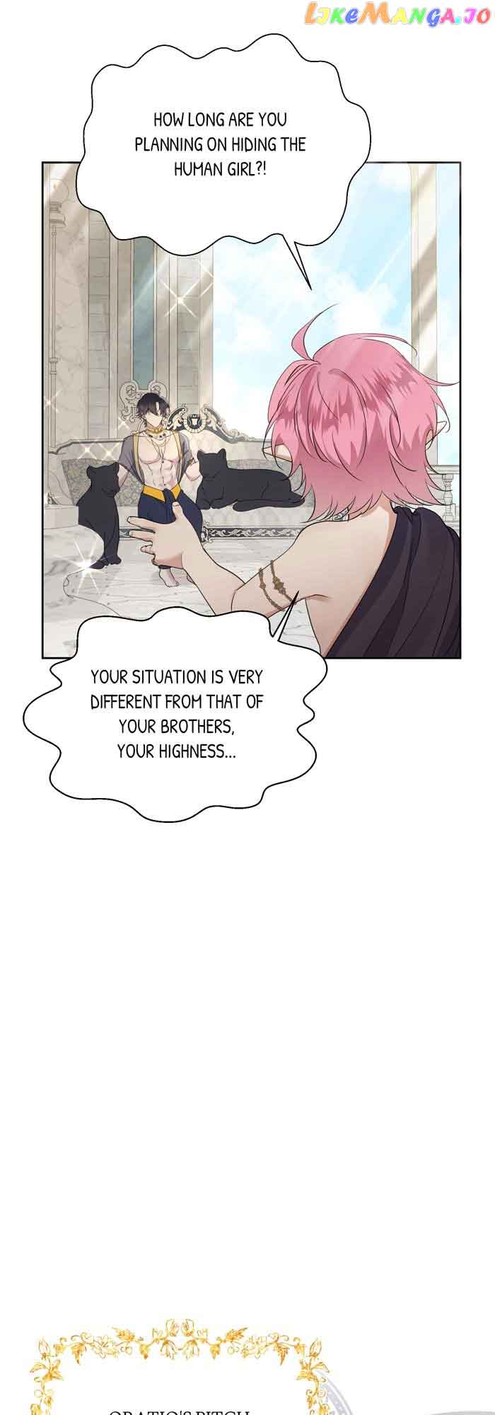 Insanely Radiant Chapter 4 - Page 4