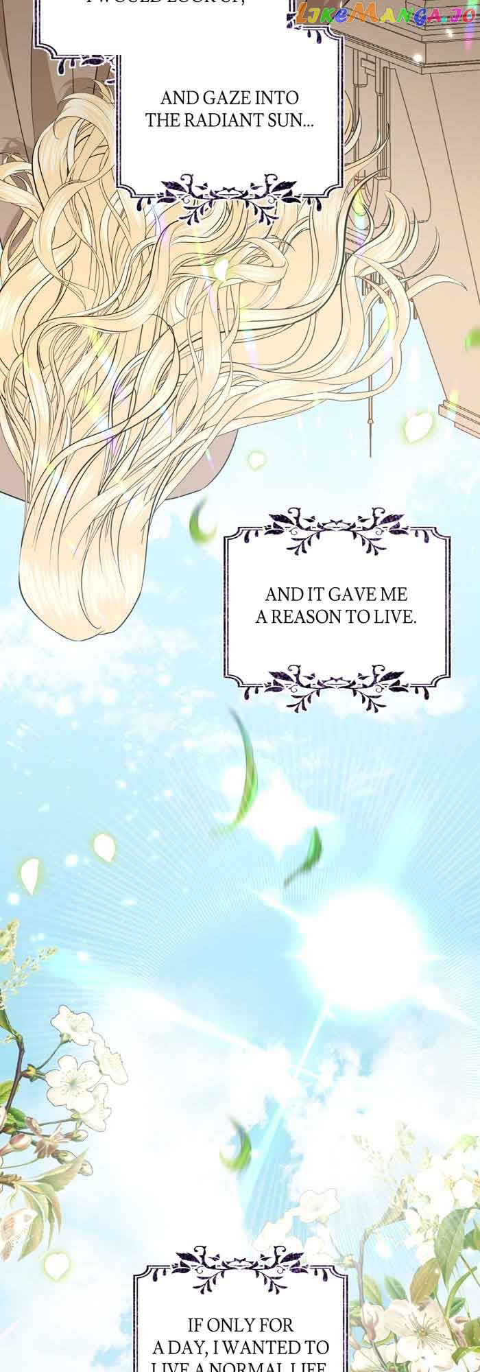 Insanely Radiant Chapter 5 - Page 48