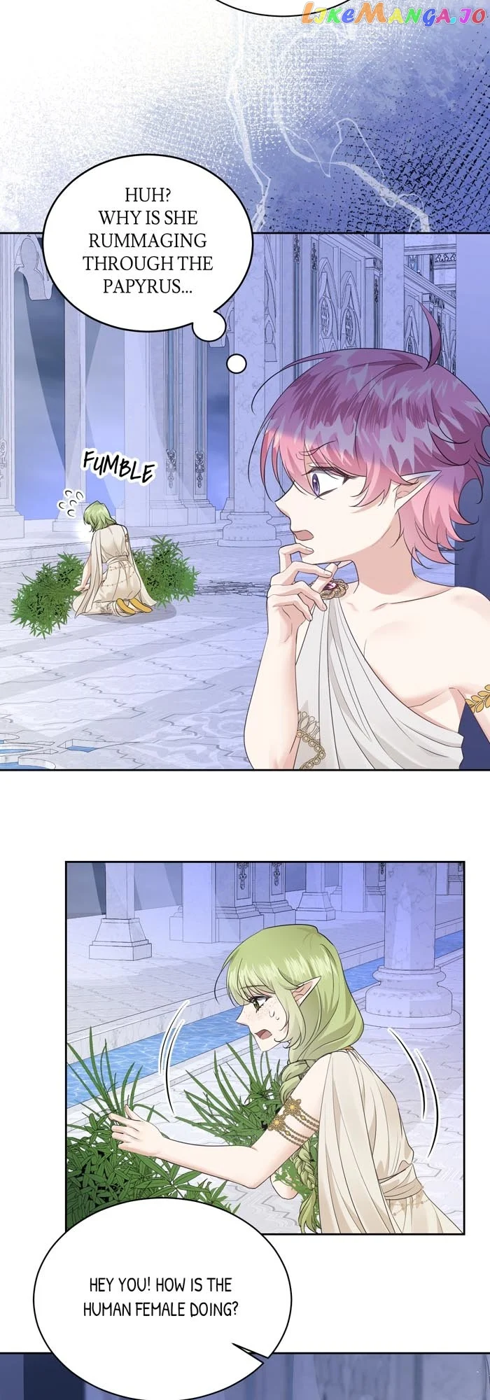 Insanely Radiant Chapter 7 - Page 4