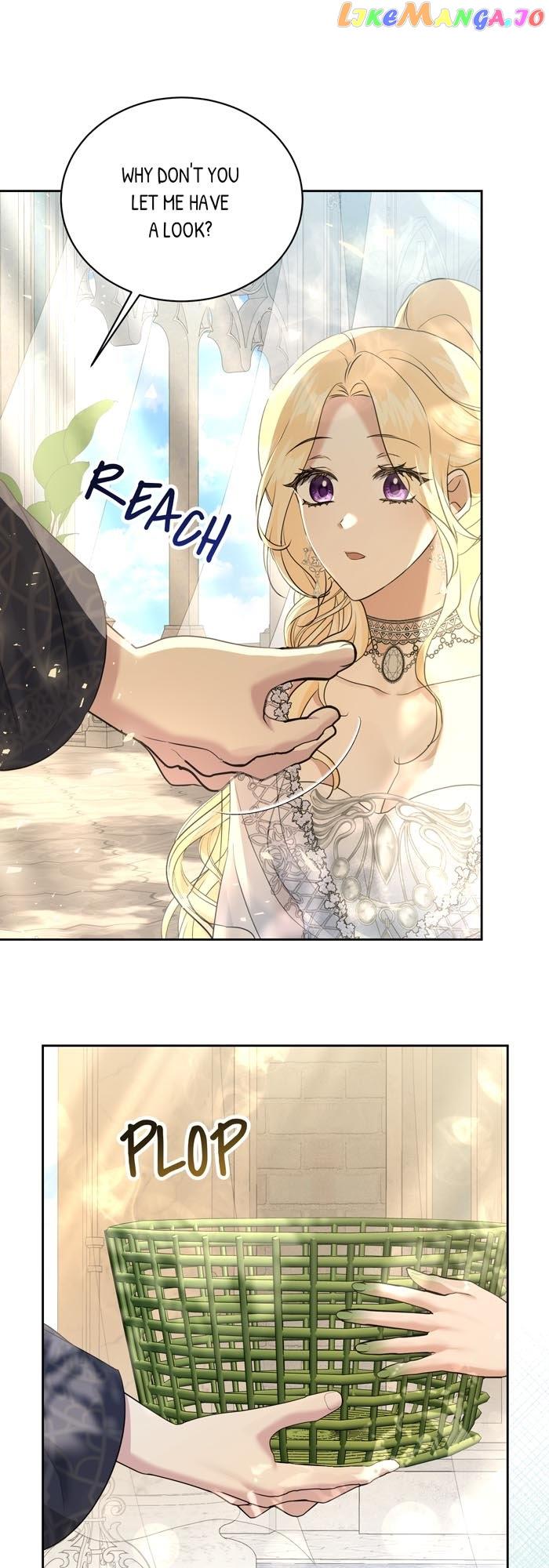 Insanely Radiant Chapter 10 - Page 14