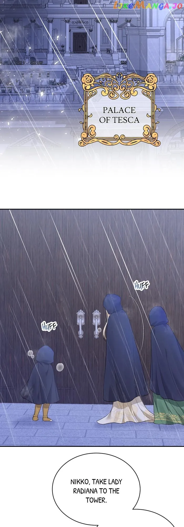 Insanely Radiant Chapter 13 - Page 17