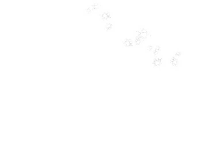 Insanely Radiant Chapter 60 - Page 47