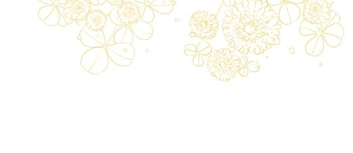 Insanely Radiant Chapter 74 - Page 13