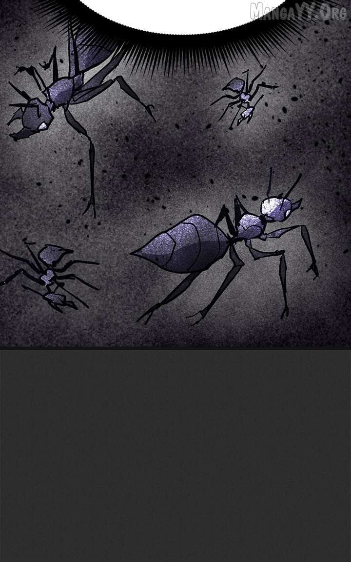 Insector Chapter 94 - Page 41