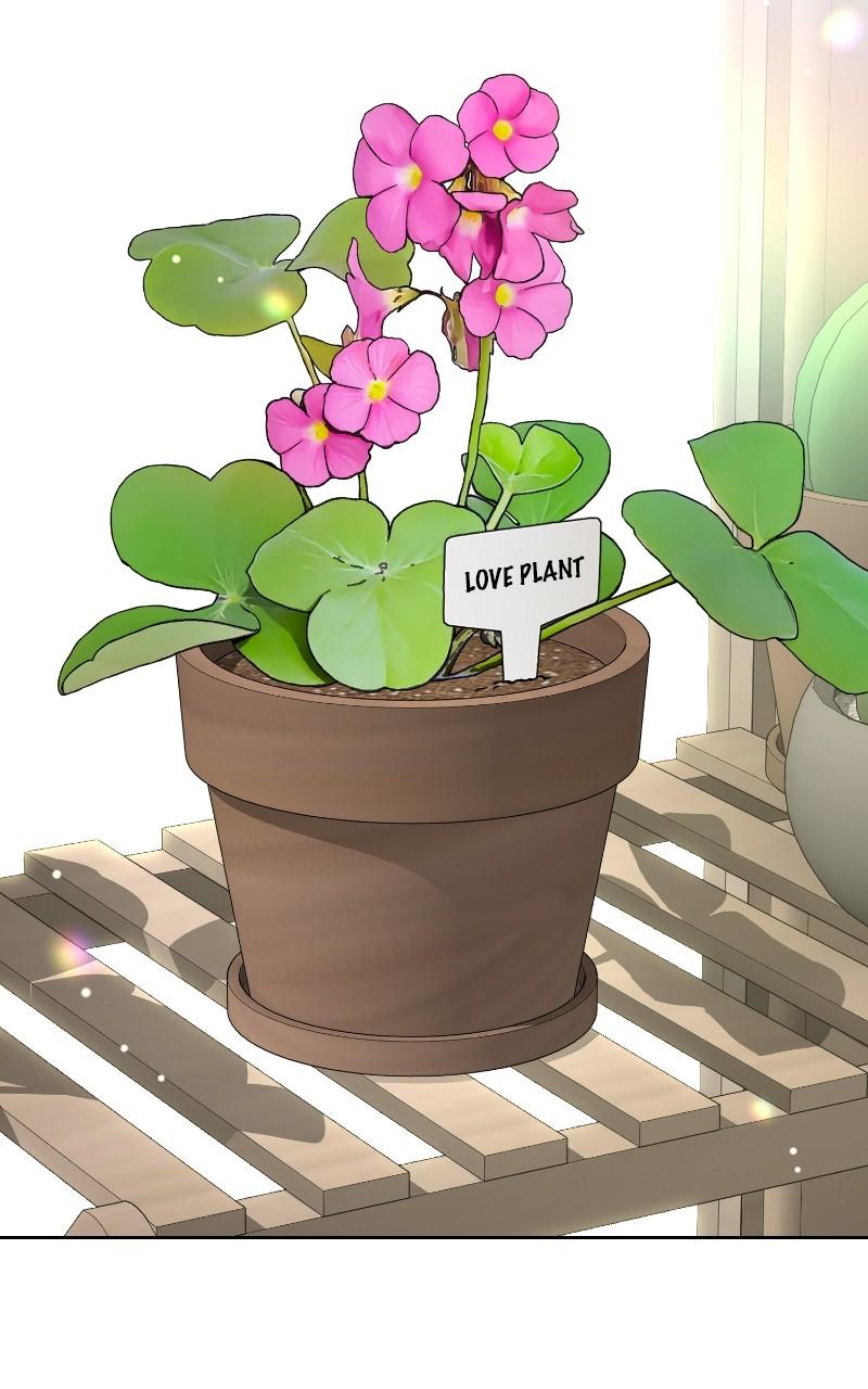 Iseop ui Yeonae Chapter 70 - Page 41