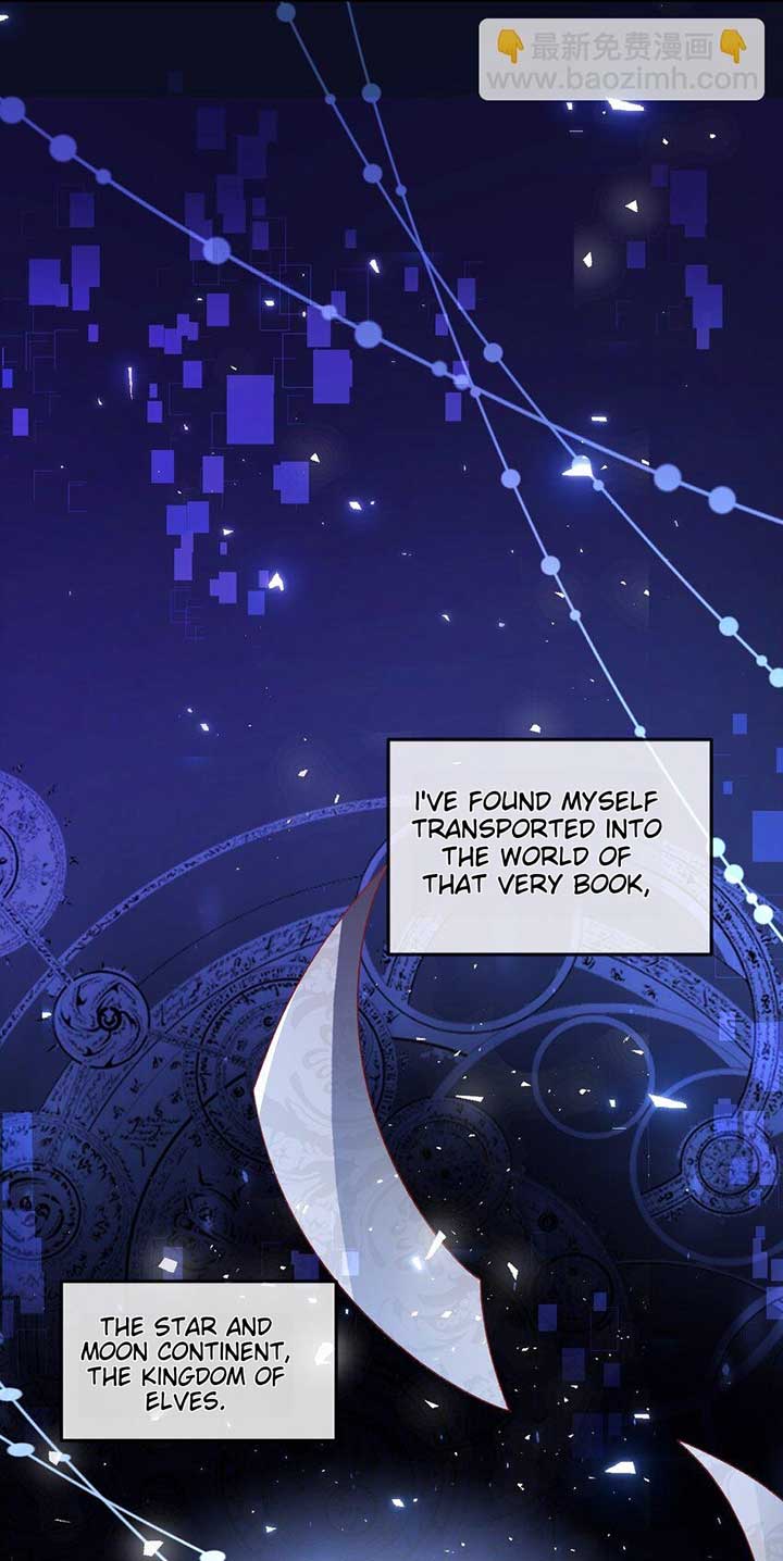 It Is Said That I Am a Fairy Princess Chapter 1 - Page 48