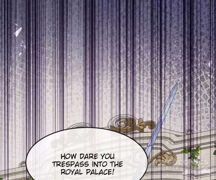 It Is Said That I Am a Fairy Princess Chapter 16 - Page 19