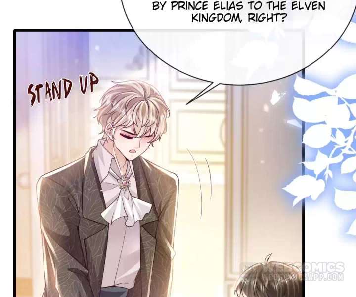 It Is Said That I Am a Fairy Princess Chapter 37 - Page 67