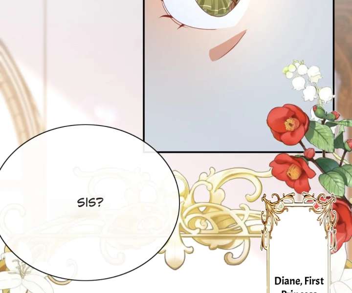 It Is Said That I Am a Fairy Princess Chapter 63 - Page 23