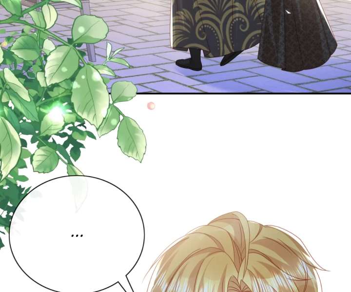 It Is Said That I Am a Fairy Princess Chapter 69 - Page 68