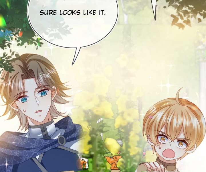 It Is Said That I Am a Fairy Princess Chapter 75 - Page 32