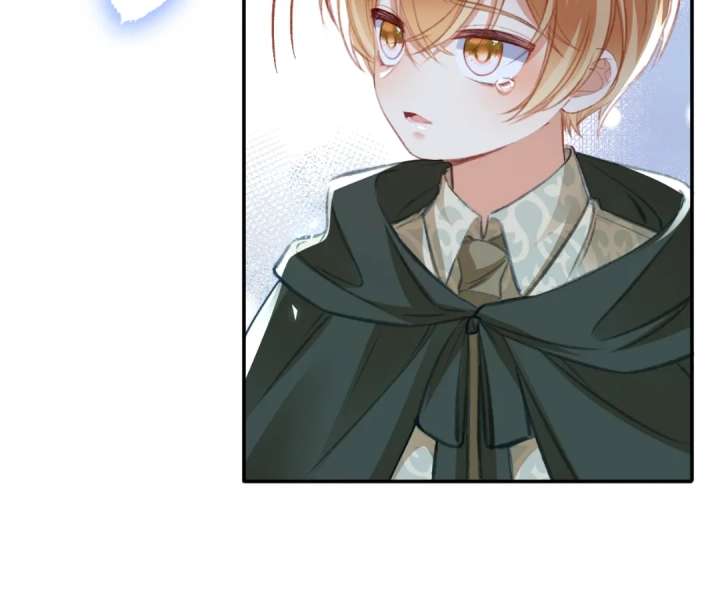 It Is Said That I Am a Fairy Princess Chapter 79 - Page 71