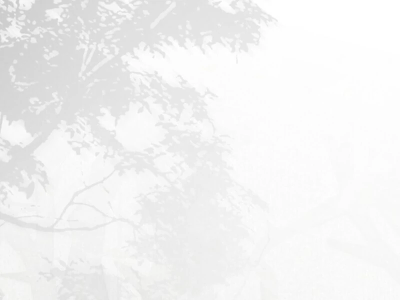 It Looks Like I’ve Fallen into the World of a Reverse Harem Game ss3 Chapter 156 - Page 101