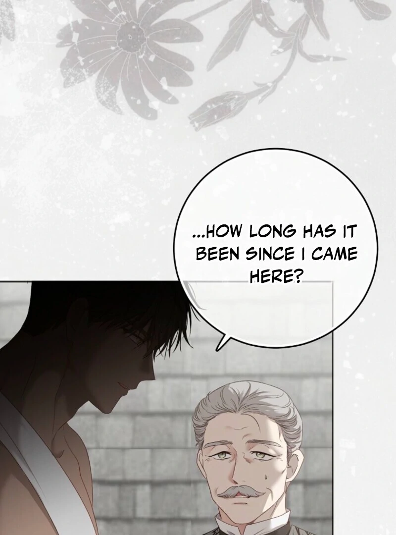 It Looks Like I’ve Fallen into the World of a Reverse Harem Game ss3 Chapter 157 - Page 141