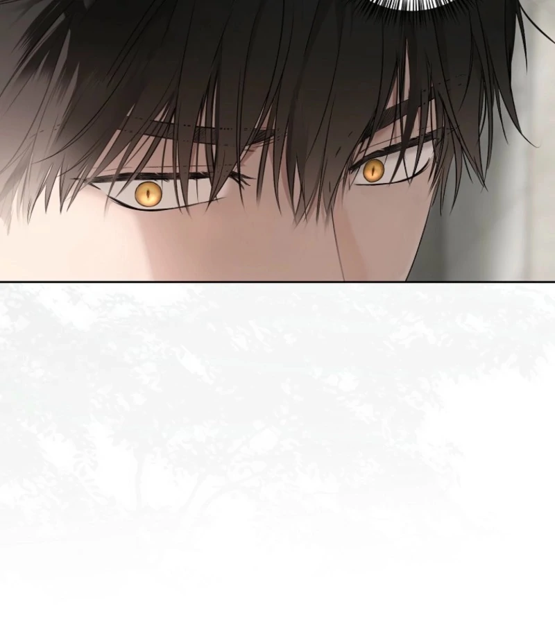 It Looks Like I’ve Fallen into the World of a Reverse Harem Game ss3 Chapter 159 - Page 42