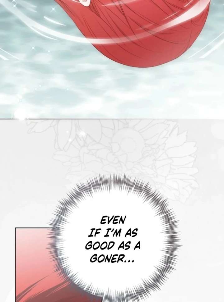 It Looks Like I’ve Fallen into the World of a Reverse Harem Game ss3 Chapter 160 - Page 5