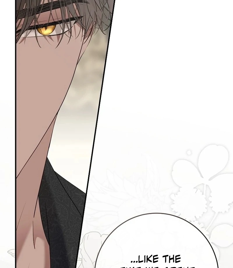 It Looks Like I’ve Fallen into the World of a Reverse Harem Game ss3 Chapter 161.5 - Page 17