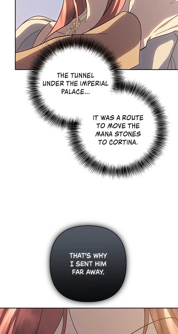 It Was Love at First Sight, Mr. Villain! Chapter 65 - Page 47