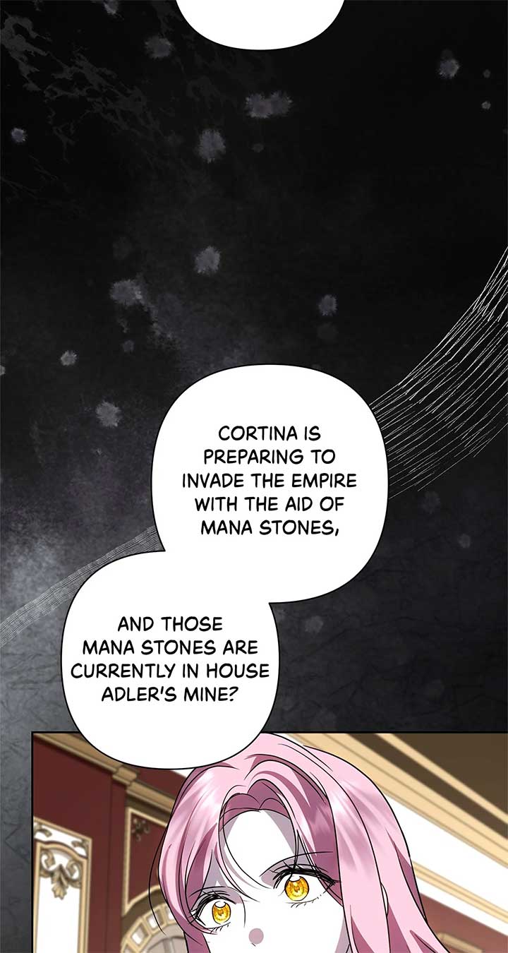 It Was Love at First Sight, Mr. Villain! Chapter 66 - Page 27