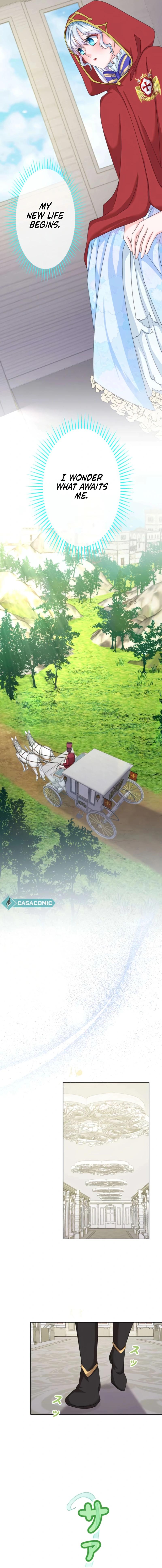 Kaihou Sengen – Dekiai mo Shuuchaku mo Okotowari desu! Chapter 43 - Page 5