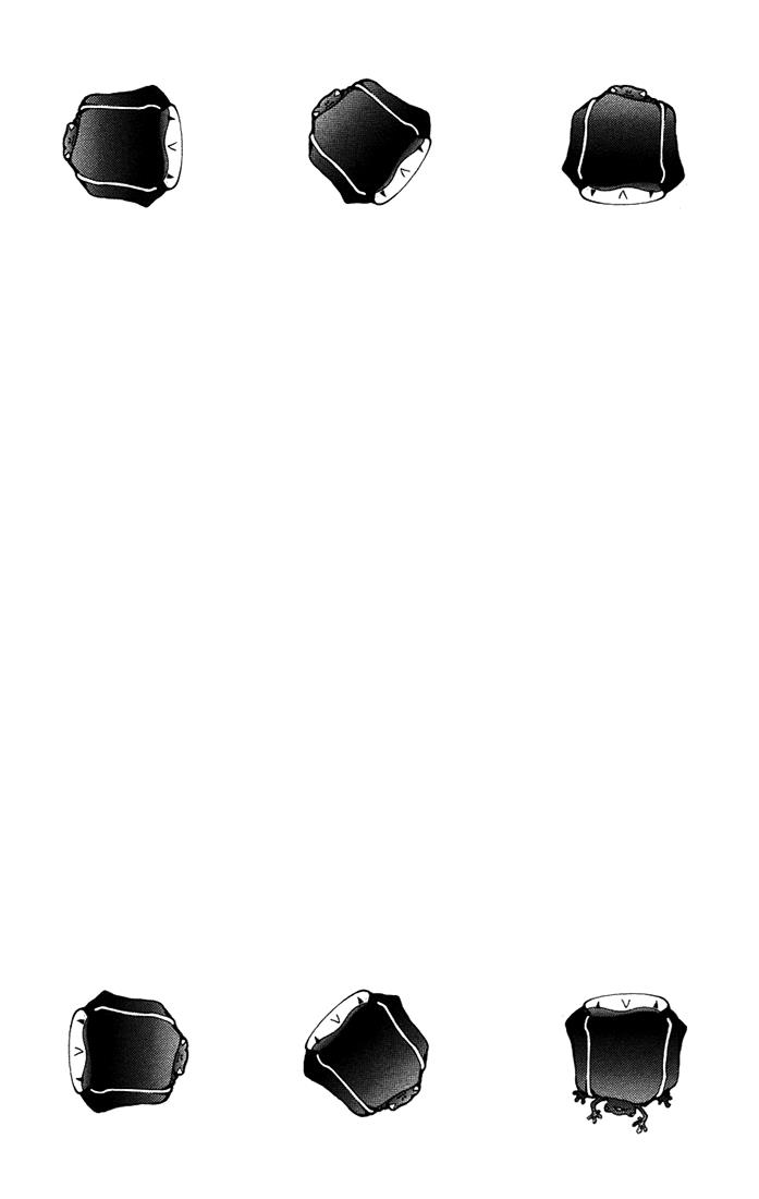 Katekyo Hitman Reborn! Chapter 99 - Page 10