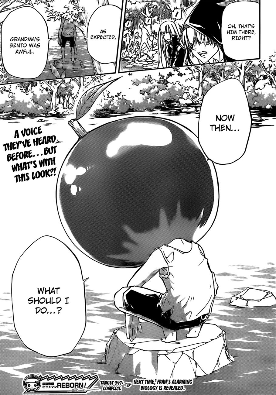 Katekyo Hitman Reborn! Chapter 347 - Page 17