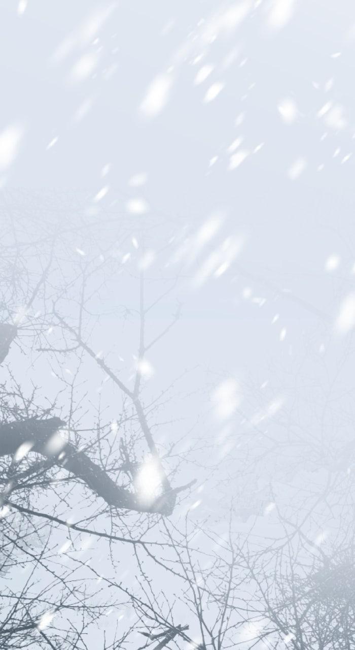 Locked Up by My Mad Dog Chapter 56 - Page 114