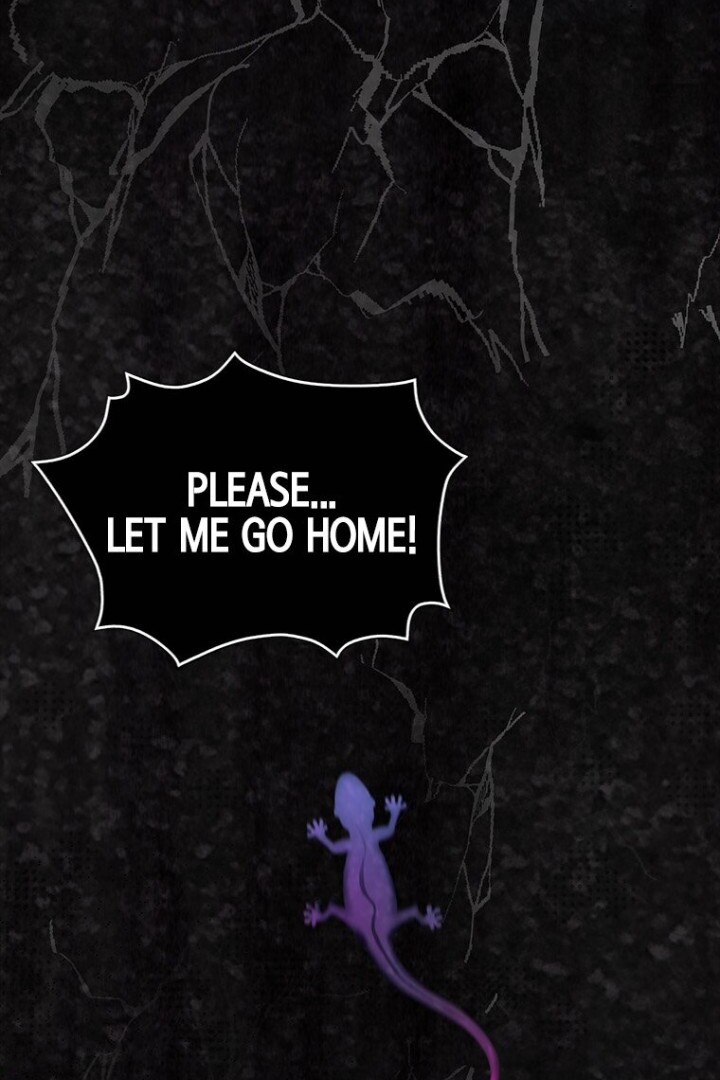 Luce: My New Identity as a Contract Wife Chapter 2 - Page 4