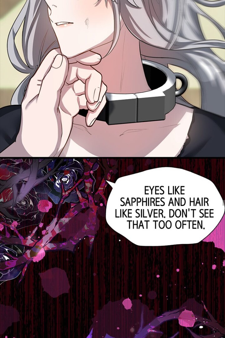 Luce: My New Identity as a Contract Wife Chapter 2 - Page 35