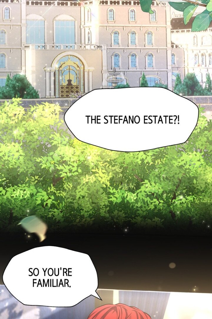 Luce: My New Identity as a Contract Wife Chapter 3 - Page 8