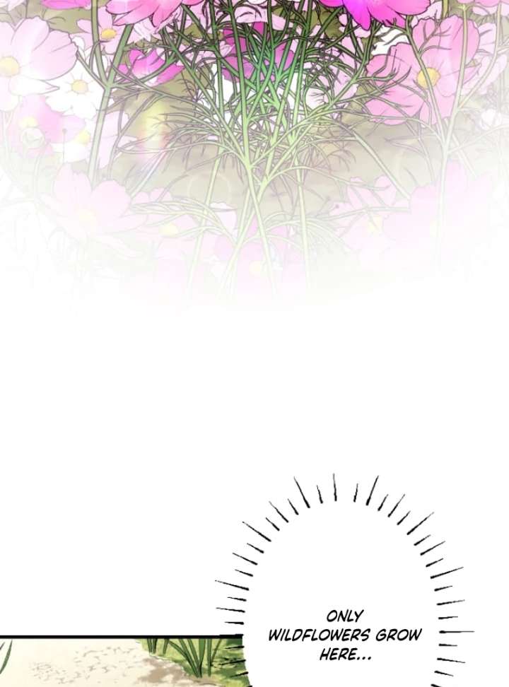 Marriage Contract with the Ruthless CEO - Chapter 8 - 66