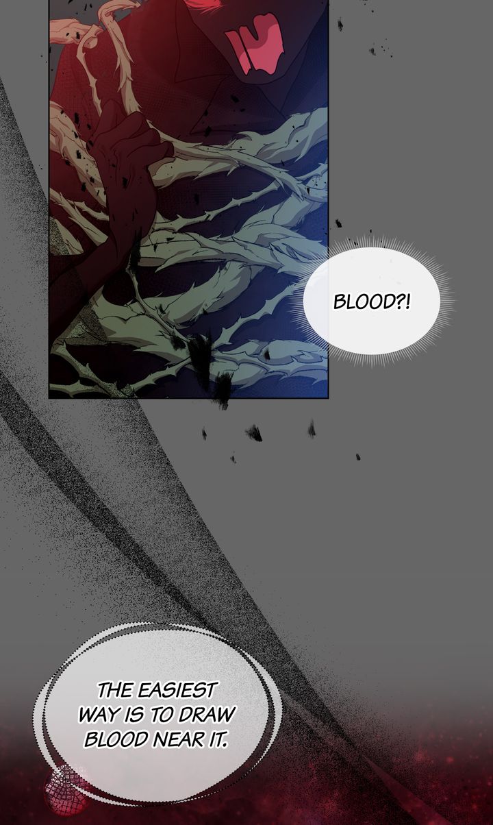 Marriage Contract With Two Husbands - Chapter 52 - 98