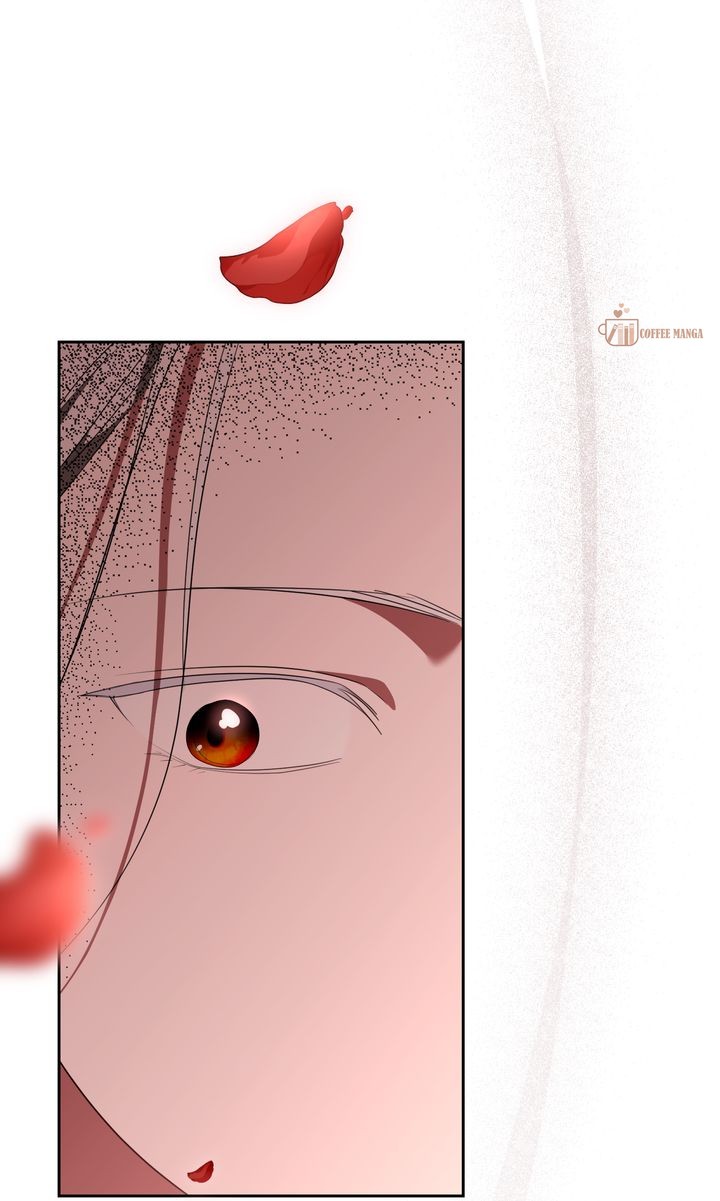 Marriage Contract With Two Husbands - Chapter 55 - 74