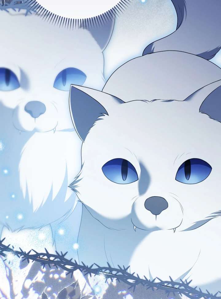 Marry or Die - Chapter 26 - 17