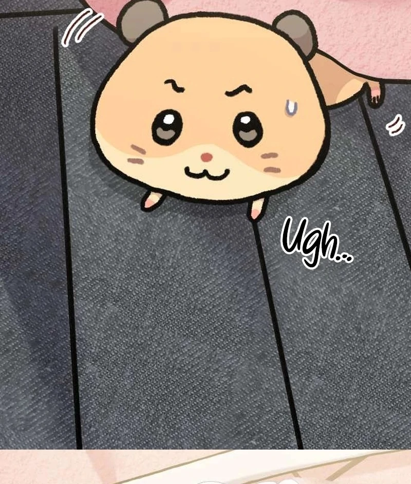 Meow-Meow Squeak-Squeak! Chapter 1 - Page 36