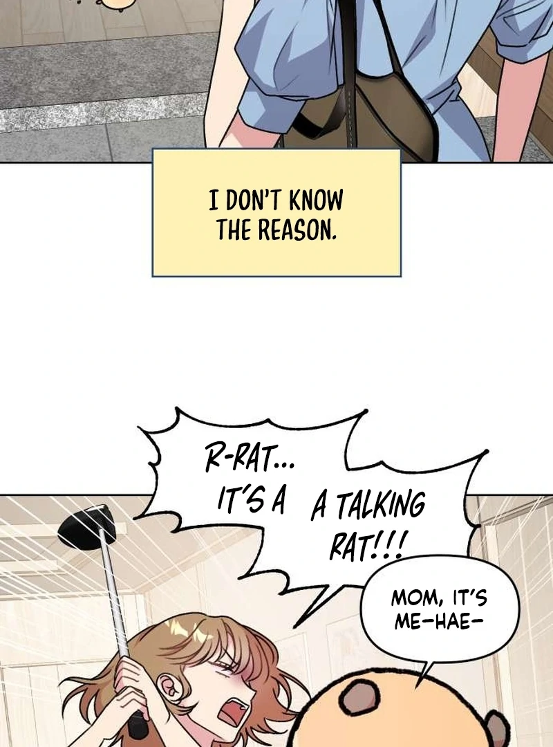 Meow-Meow Squeak-Squeak! Chapter 2 - Page 4