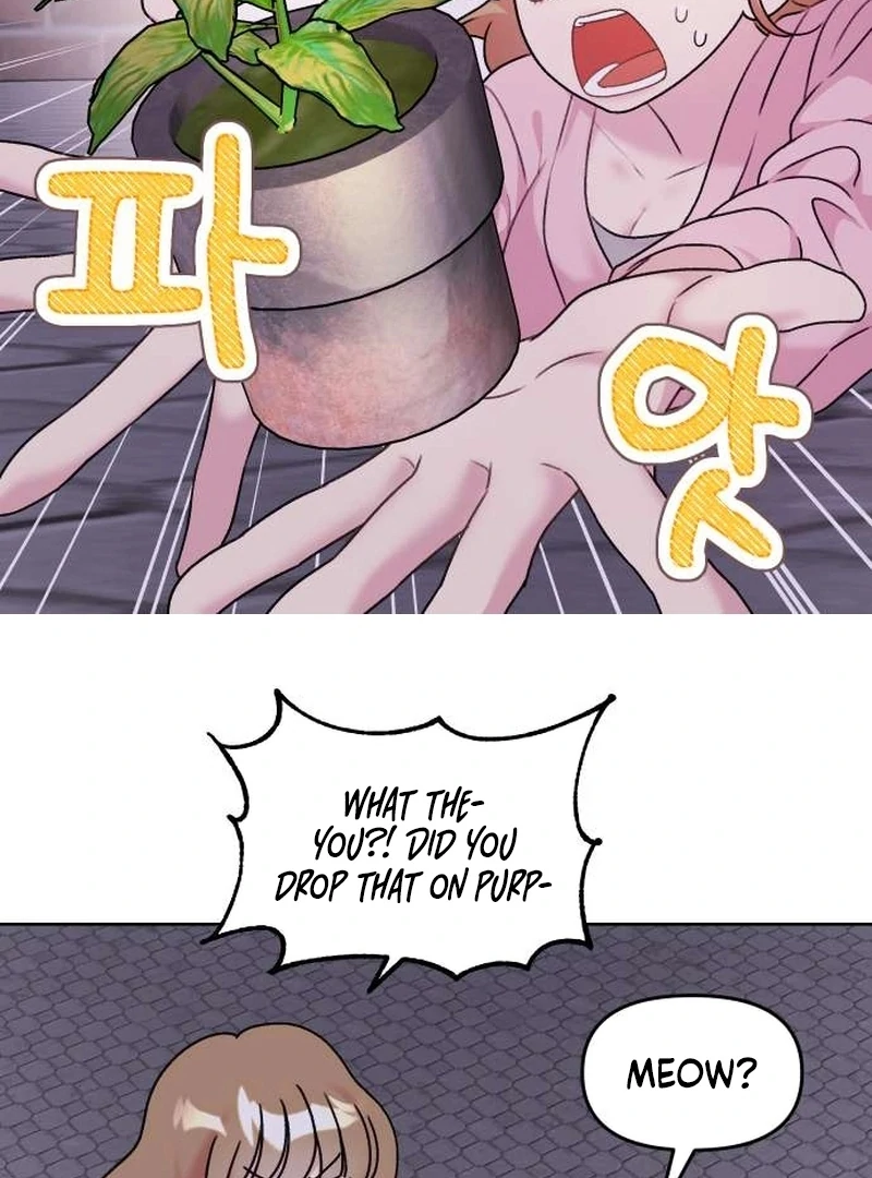 Meow-Meow Squeak-Squeak! Chapter 4 - Page 12