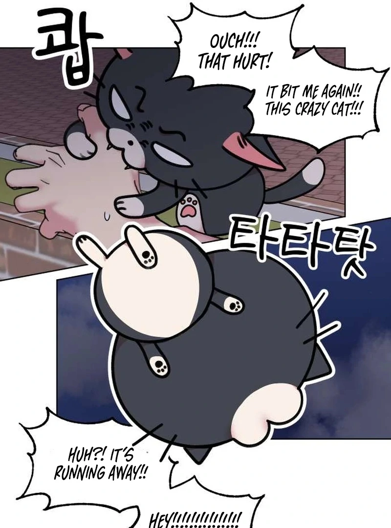 Meow-Meow Squeak-Squeak! Chapter 4 - Page 29