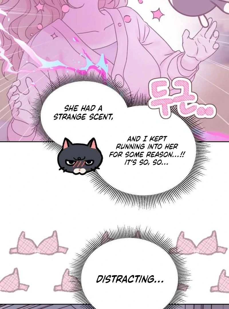 Meow-Meow Squeak-Squeak! Chapter 4 - Page 41
