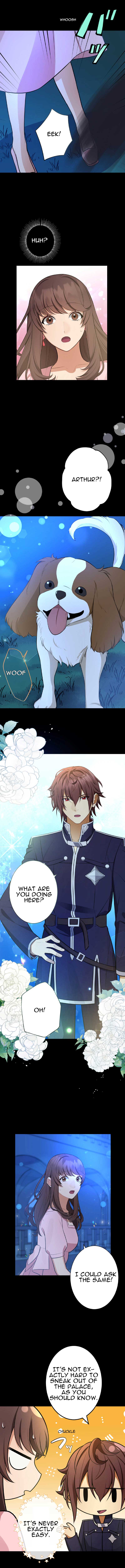 Midnight Cinderella Ikemen Royal Romance ~ The Royal Knight ~ Chapter 26 - Page 11