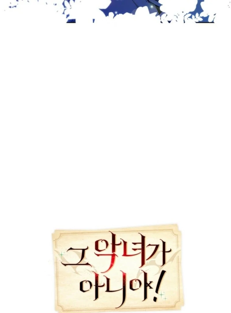 Mistaken for a Wicked Woman! - Chapter 61 - 12