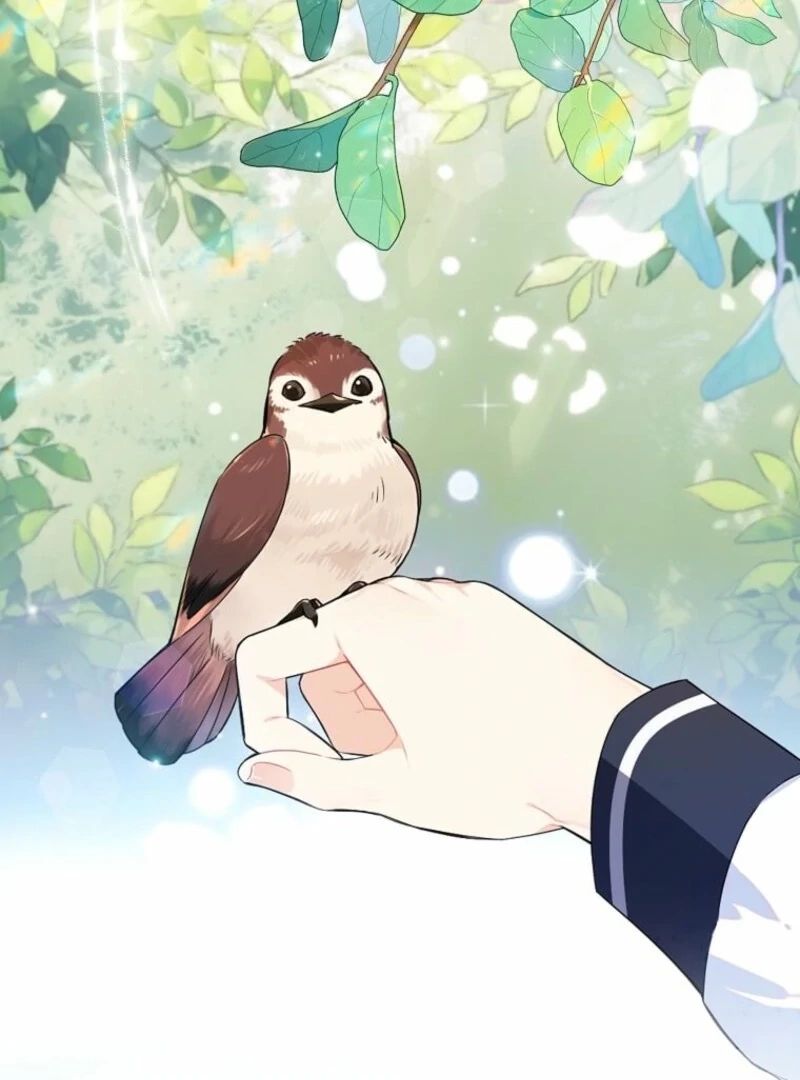 Mistaken for a Wicked Woman! Chapter 67 - Page 9